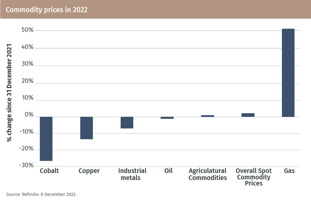 EFG_Outlook-2023_Chart 8.png